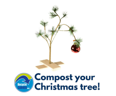 Compost Christmas Tree Newsflash